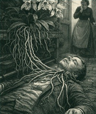 From The Flowering of the Strange Orchid